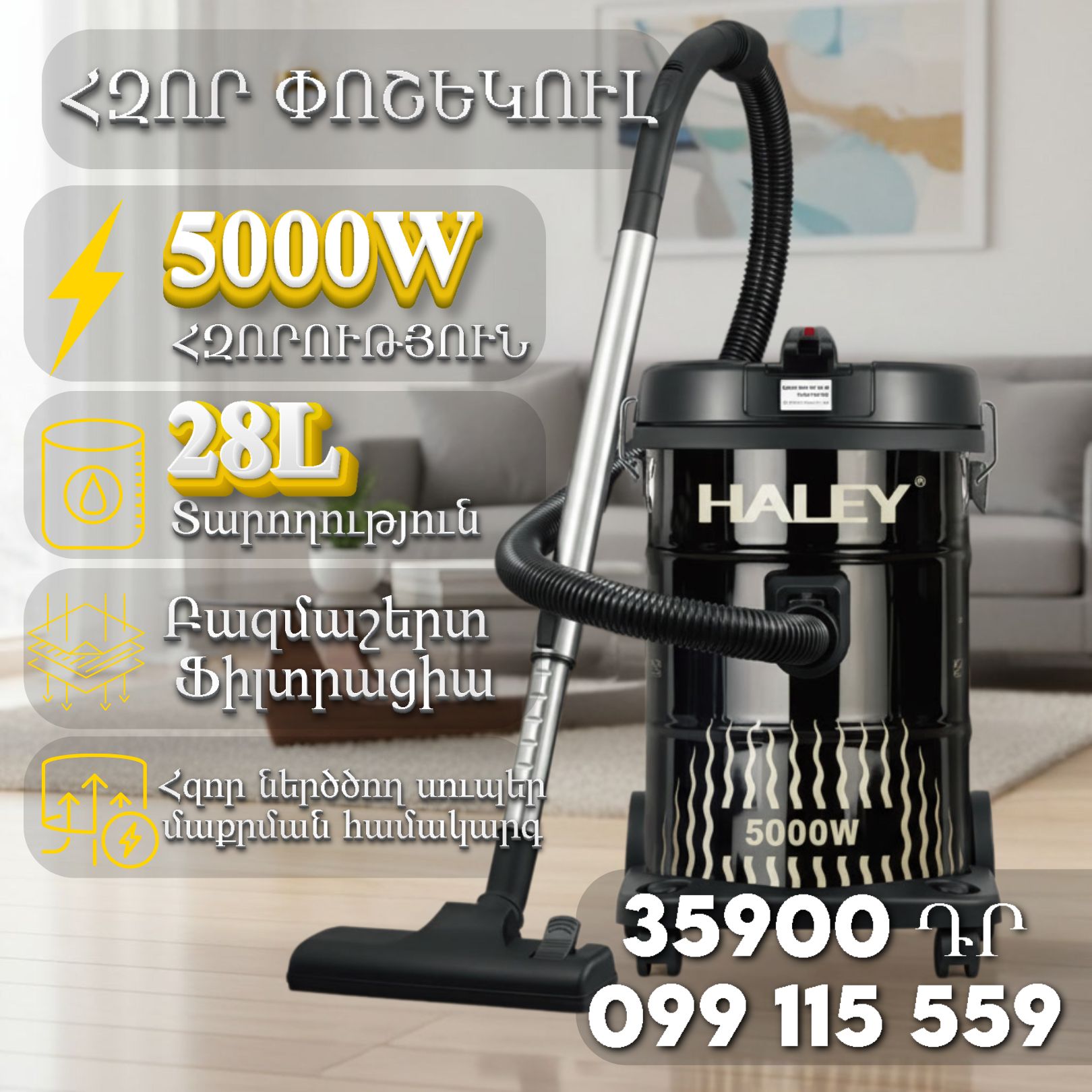 HALEY ՓՈՇԵԿՈՒԼ