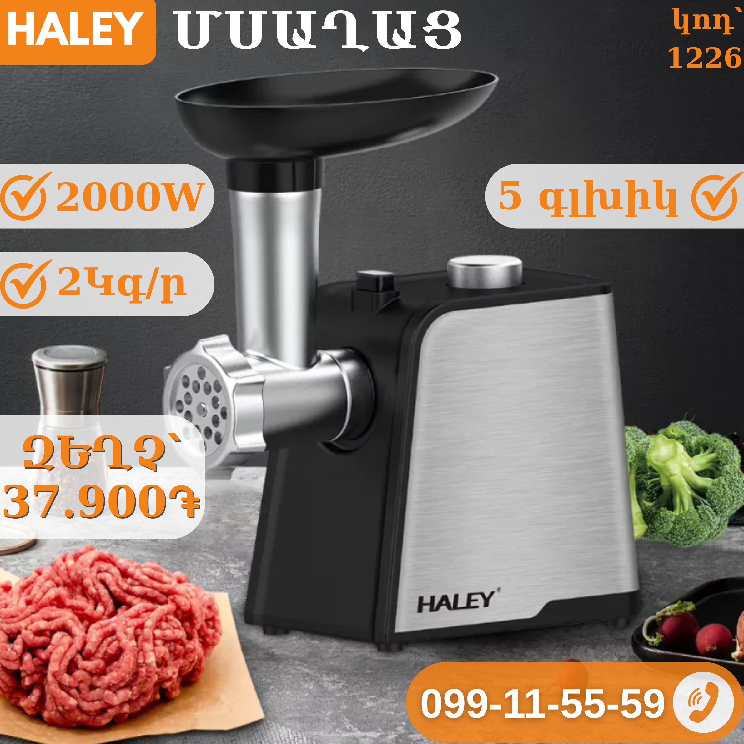 էԼԵԿՏՐԱԿԱՆ ՄՍԱՂԱՑ HALEY 3-ը 1-ում