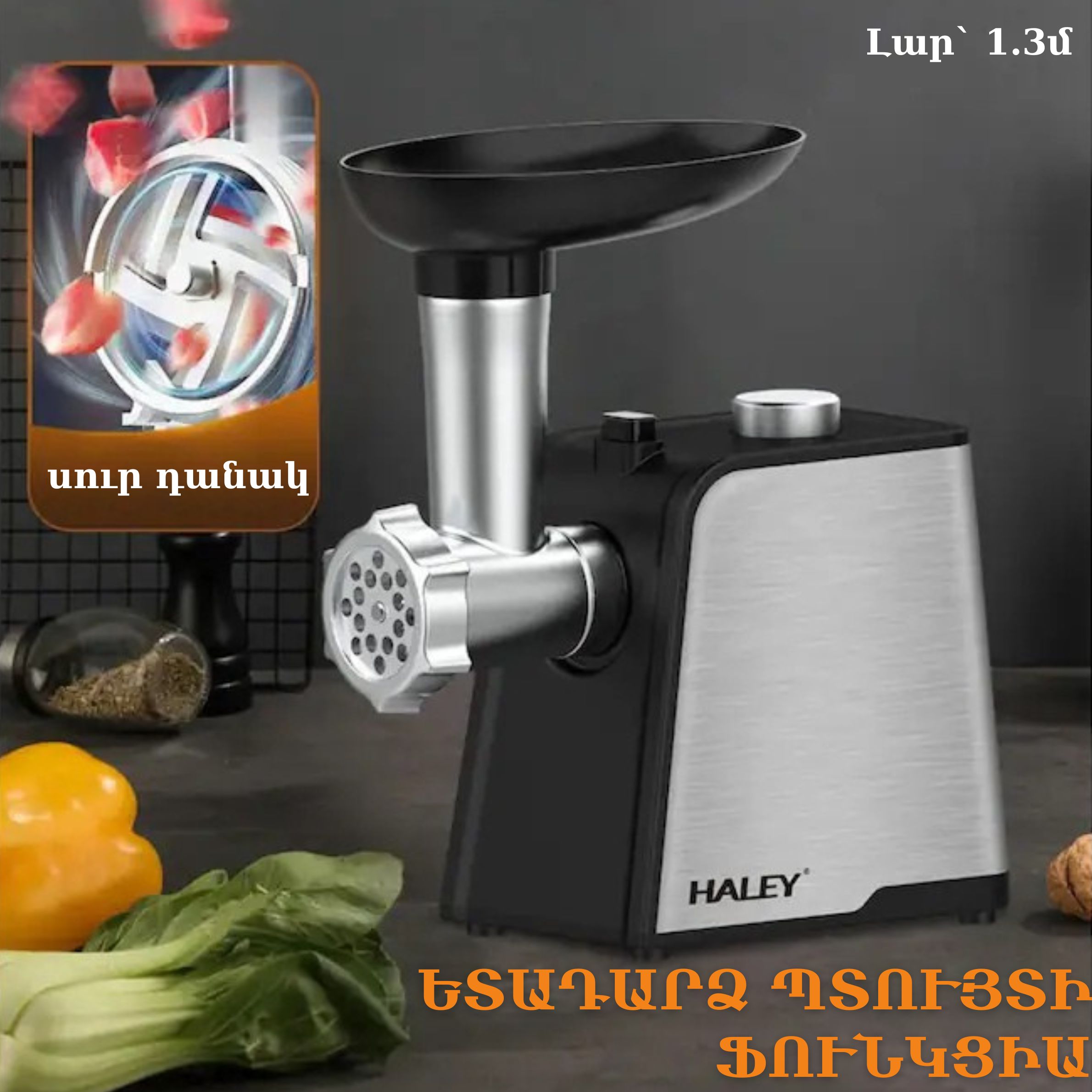 էԼԵԿՏՐԱԿԱՆ ՄՍԱՂԱՑ HALEY 3-ը 1-ում